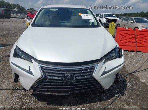 JTJAARBZ6L5009016 2020 LEXUS NX 300 White 