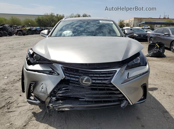 JTJBARBZ1J2169954 2018 LEXUS NX Silver 