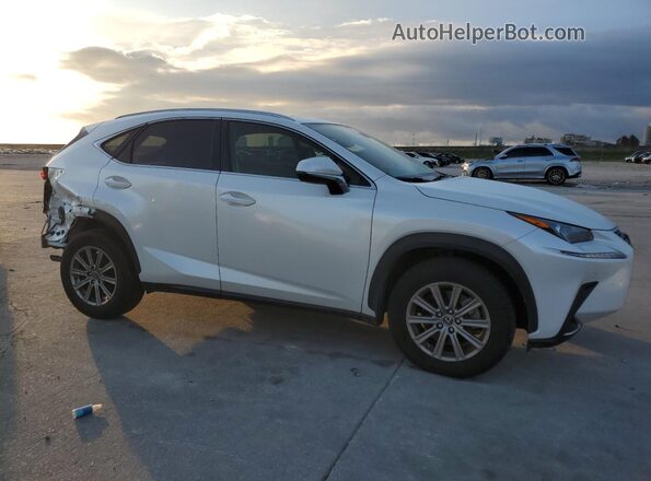 JTJDARBZ2L5001024 2020 LEXUS NX White 