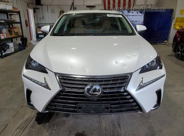 JTJDARBZ6M5022685 2021 LEXUS NX Белый Вид спереди