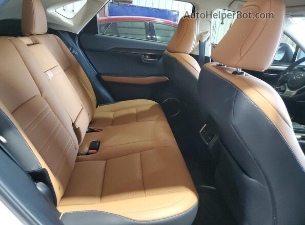 JTJDARBZ6M5022685 2021 LEXUS NX Белый Вид задней части салона