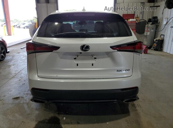 JTJDARBZ6M5022685 2021 LEXUS NX Белый Вид сзади
