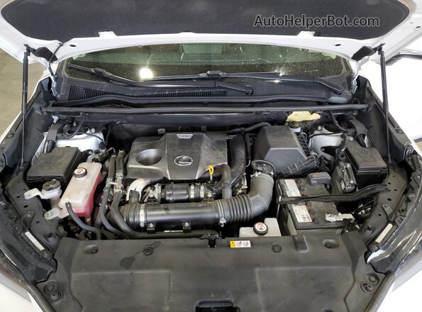 JTJDARBZ6M5022685 2021 LEXUS NX Белый Вид подкапотного пространства