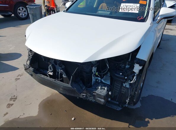 JTJDARBZ9M5024575 2021 LEXUS NX 300 White Widok z przodu