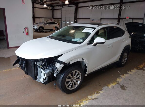 JTJDARBZXM5028845 2021 LEXUS NX 300 Белый 