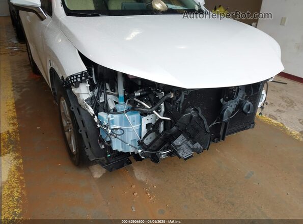 JTJDARBZXM5028845 2021 LEXUS NX 300 Белый 