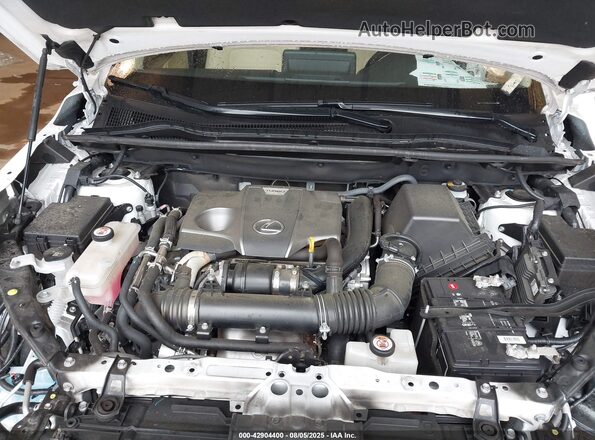 JTJDARBZXM5028845 2021 LEXUS NX 300 Белый 