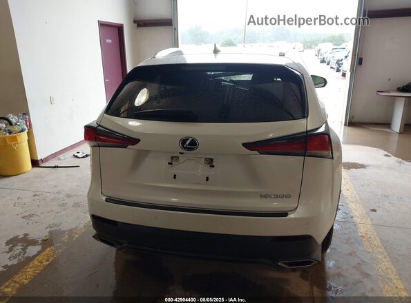 JTJDARBZXM5028845 2021 LEXUS NX 300 Белый 