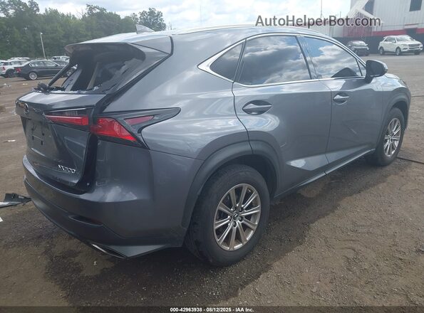 JTJDARDZXM2240014 2021 LEXUS NX 300 Gray უკანა მარჯვენა