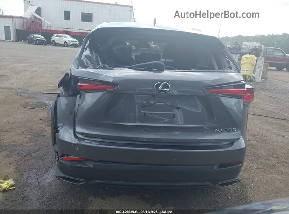 JTJDARDZXM2240014 2021 LEXUS NX 300 Gray 