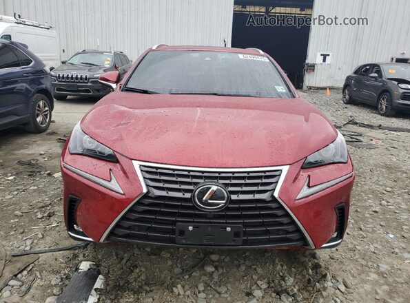 JTJGARDZ3M5029913 2021 LEXUS NX Красный Вид спереди