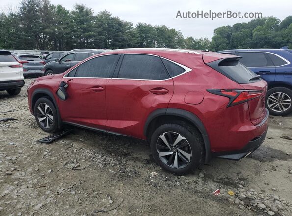 JTJGARDZ3M5029913 2021 LEXUS NX Красный Задняя левая четверть