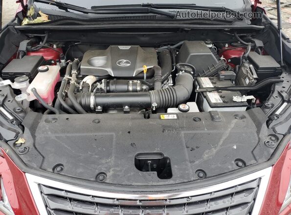 JTJGARDZ3M5029913 2021 LEXUS NX Красный Вид задней части салона