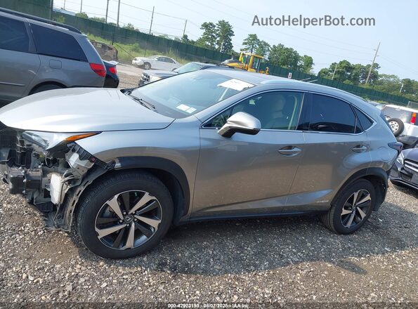 JTJGJRDZ6L2133344 2020 LEXUS NX 300H Silver 