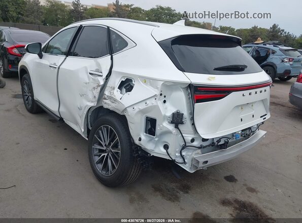 JTJGKCEZ0S2063962 2025 LEXUS NX 350H White 