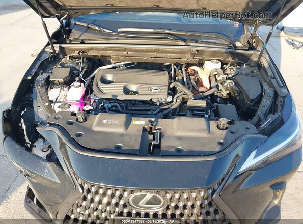 JTJGKCEZ2S2060285 2025 LEXUS NX 350H Black უკანა ხედი