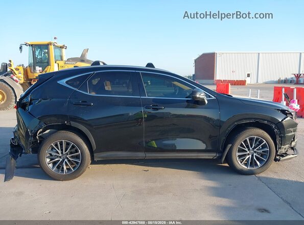 JTJGKCEZ2S2060285 2025 LEXUS NX 350H Black სალონის 360-გრადუსიანი ხედი