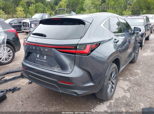 JTJGKCEZ2S5035305 2025 LEXUS NX Black Trasero derecho