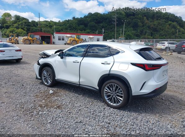 JTJHKCEZ5R2039011 2024 LEXUS NX 350H White 
