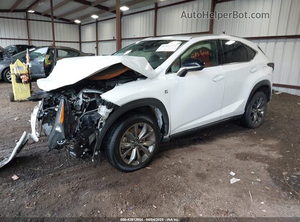 JTJSARBZ1M2191277 2021 LEXUS NX 300 White Передня ліва чверть