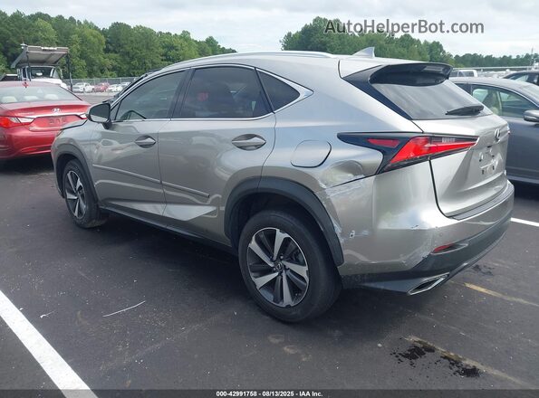 JTJYARBZ4J2090028 2018 LEXUS NX 300 Champagne Tył lewy