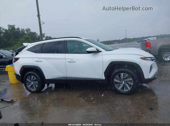 KM8JBCD15RU194397 2024 HYUNDAI TUCSON HYBRID White Вид задньої частини салону