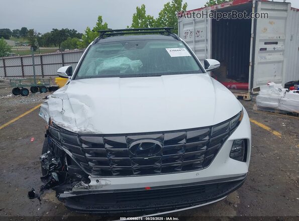 KM8JECD19RU180963 2024 HYUNDAI TUCSON HYBRID Белый Вид щитка приборов