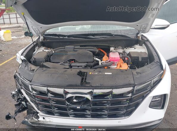 KM8JECD19RU180963 2024 HYUNDAI TUCSON HYBRID Белый Вид сзади