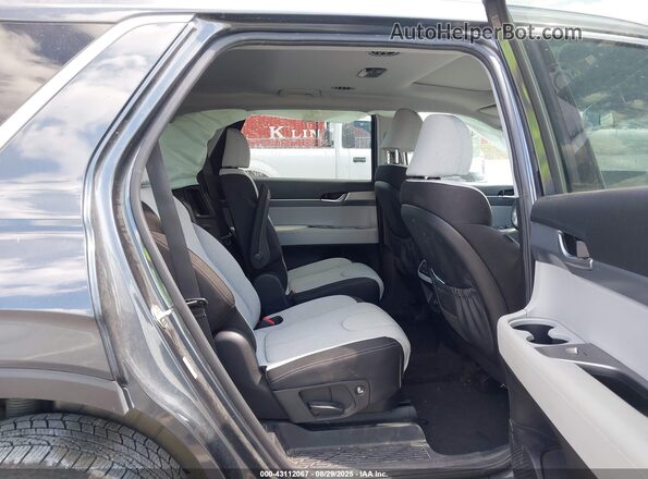 KM8R2DHE4LU068951 2020 HYUNDAI PALISADE Blue VIN sticker view