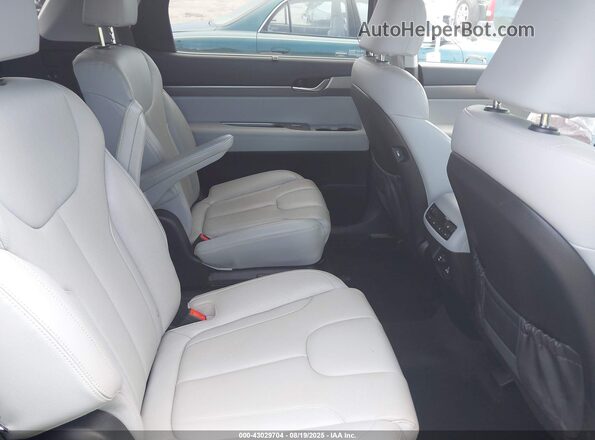 KM8R4DHEXLU077602 2020 HYUNDAI PALISADE Gray Vista de la etiqueta del VIN