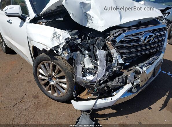 KM8R54HE8LU079880 2020 HYUNDAI PALISADE White Widok z przodu
