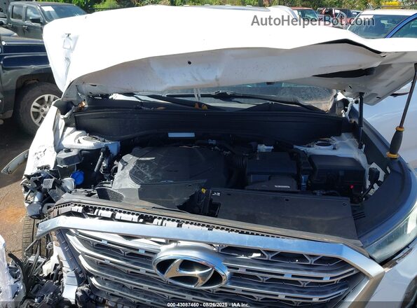 KM8R54HE8LU079880 2020 HYUNDAI PALISADE White Widok z tyłu
