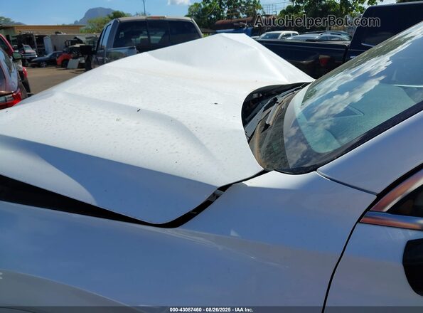 KM8R54HE8LU079880 2020 HYUNDAI PALISADE White 