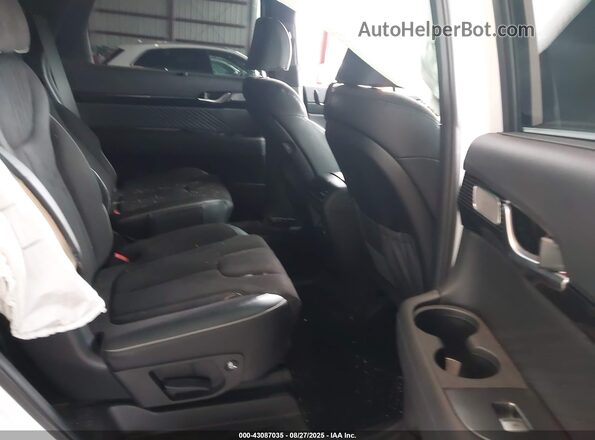 KM8R7DGEXRU707572 2024 HYUNDAI PALISADE White Вид наклейки з VIN-кодом