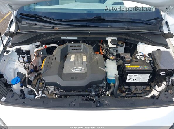 KMHC85LJ3LU072522 2020 HYUNDAI IONIQ ELECTRIC White Widok z tyłu