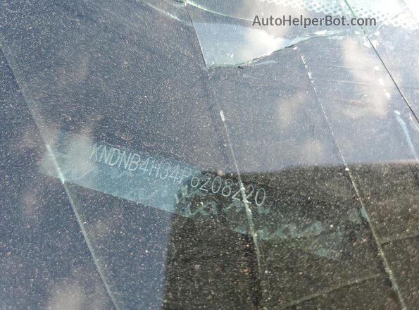 KNDNB4H34P6208220 2023 KIA CARNIVAL Black 