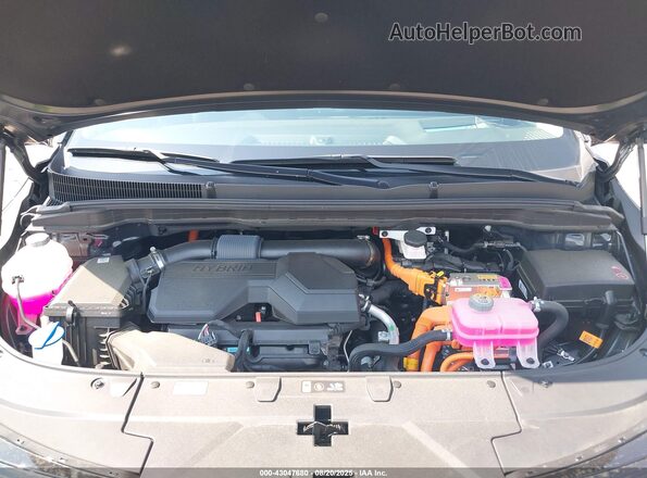 KNDNE5KA4S6062589 2025 KIA CARNIVAL MPV HYBRID Black Widok z tyłu