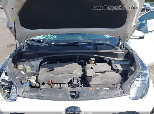 KNDP6CAC9M7854585 2021 KIA SPORTAGE White უკანა ხედი