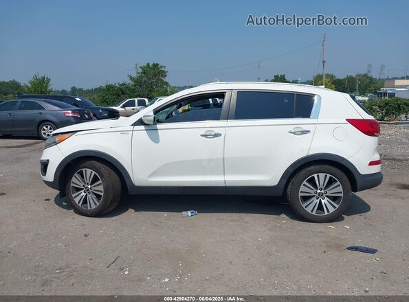 KNDPCCAC1G7808181 2016 KIA SPORTAGE White უკანა სალონის ხედი