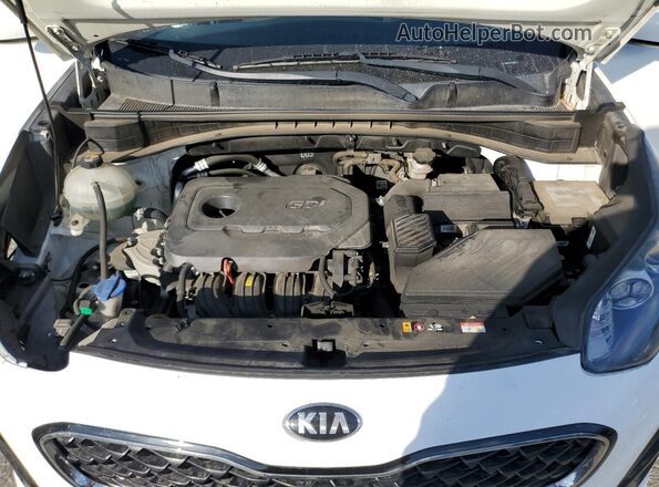 KNDPM3AC0L7823519 2020 KIA SPORTAGE White Widok wnętrza z tyłu