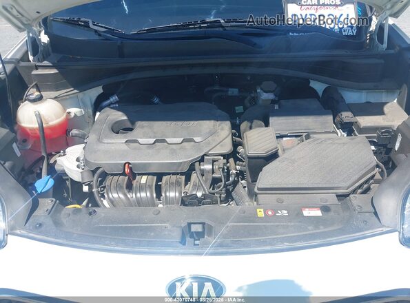 KNDPM3AC6N7001651 2022 KIA SPORTAGE White Widok z tyłu