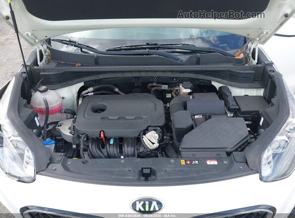 KNDPM3AC8M7937656 2021 KIA SPORTAGE White უკანა ხედი