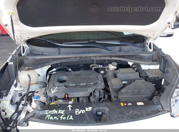 KNDPMCAC8M7904527 2021 KIA SPORTAGE White Հետևի տեսք