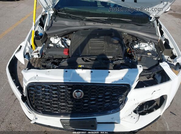 SADCJ2EX5PA708667 2023 JAGUAR F-PACE Белый Вид сзади