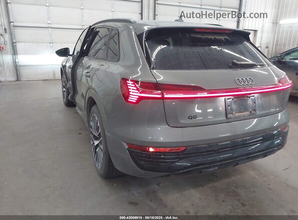 WA15AAGE2RB022264 2024 AUDI Q8 E-TRON Green უკანა მარცხენა