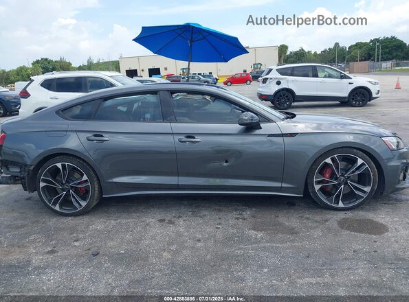 WAUC4CF52RA065829 2024 AUDI S5 Серый Вид задней части салона