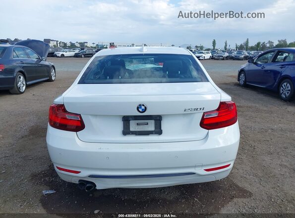 WBA2F9C54HV664333 2017 BMW 2 SERIES White 