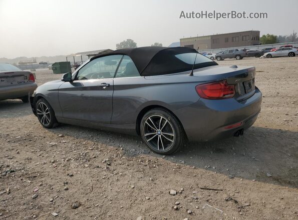 WBA2K1C04L7D81612 2020 BMW 2 SERIES Black უკანა მარცხენა