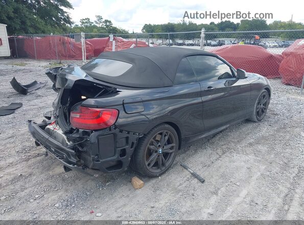 WBA2L1C3XHV666399 2017 BMW M2 Black Trasero derecho