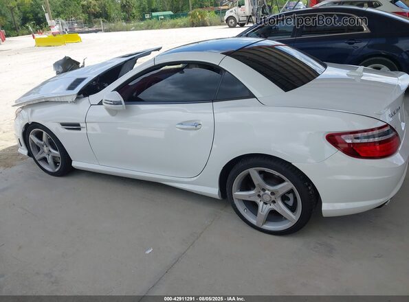 WDDPK5HA3GF115465 2016 MERCEDES-BENZ SLK White Widok wnętrza z tyłu